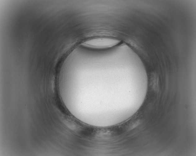 X0000067000206200604142307