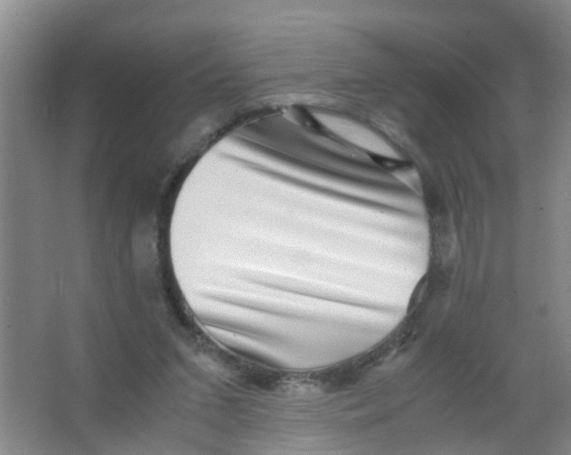 X0000067000207200604142307