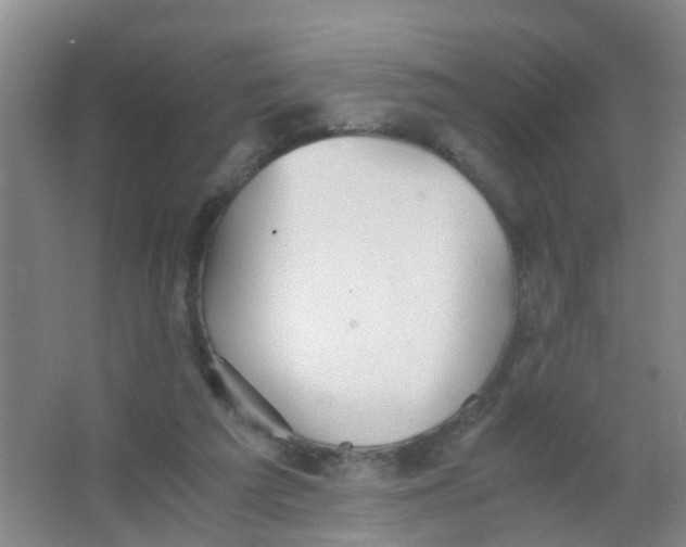 X0000067000209200604142307