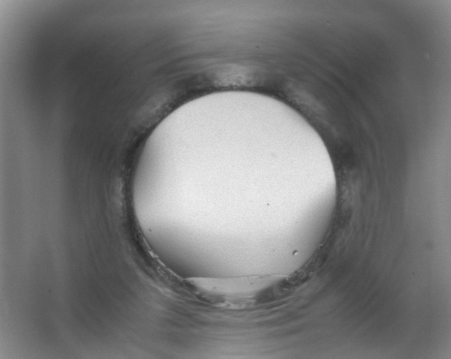 X0000067000211200604142307