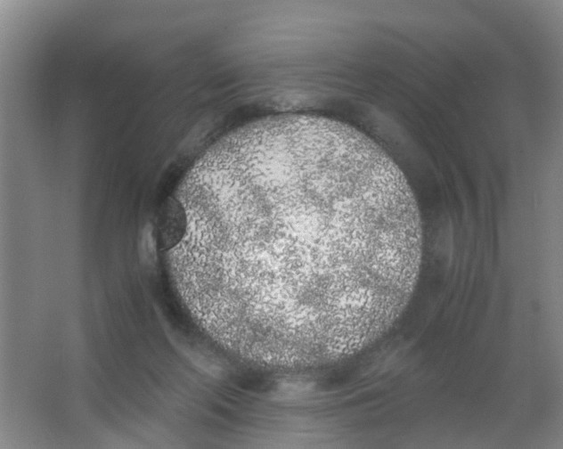 X0000067000214200604142307