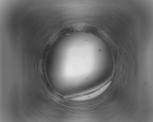 X0000067000217200604142307