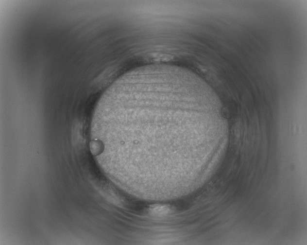 X0000067000218200604142307