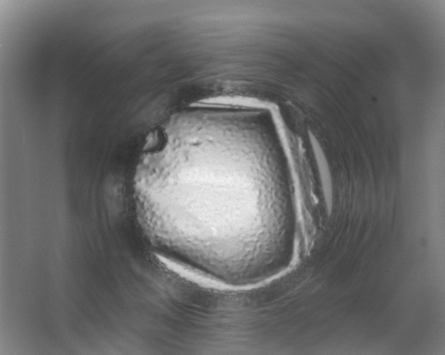 X0000067000222200604142307