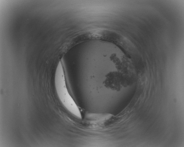 X0000067000223200604142307