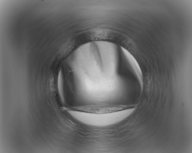 X0000067000224200604142307