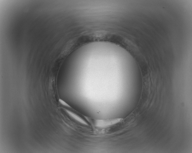 X0000067000225200604142307