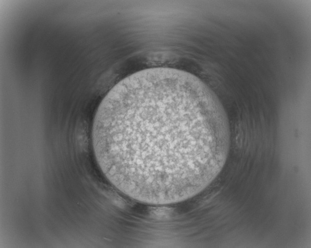 X0000067000226200604142307