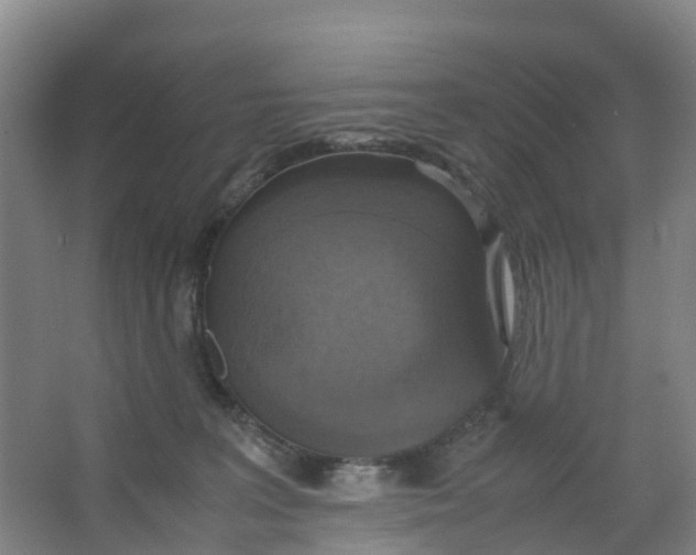 X0000067000227200604142307