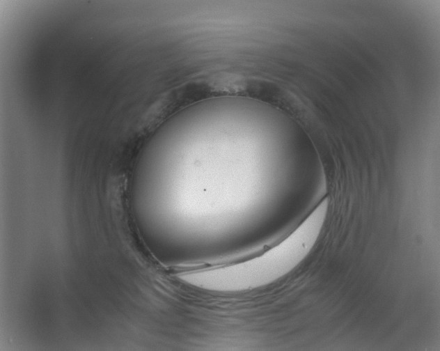 X0000067000229200604142307