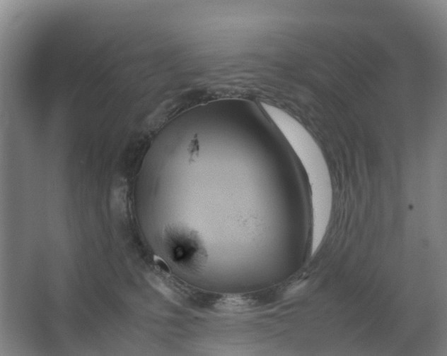 X0000067000231200604142307