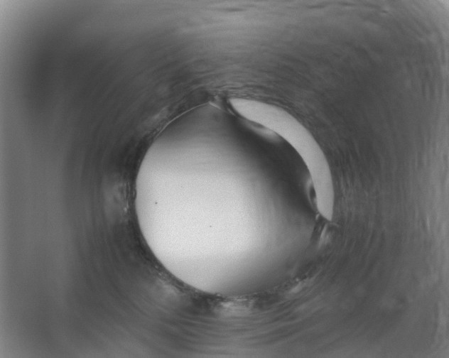 X0000067000232200604142307