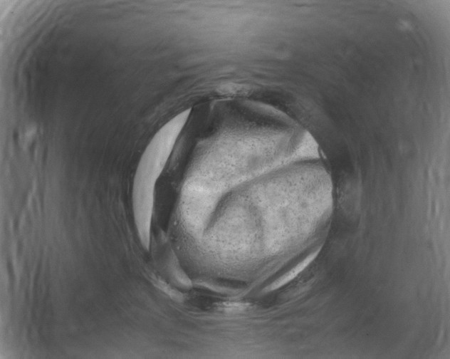 X0000067000233200604142307