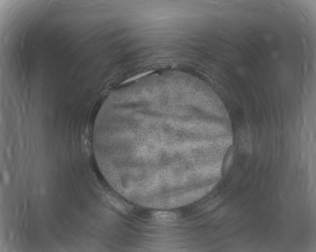 X0000067000234200604142307