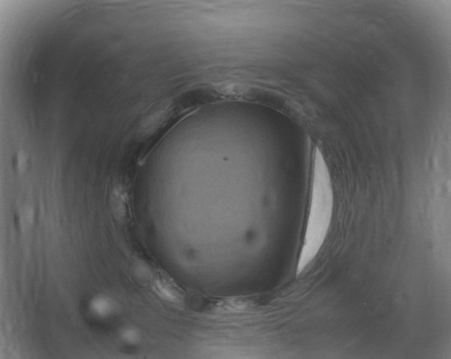 X0000067000235200604142307