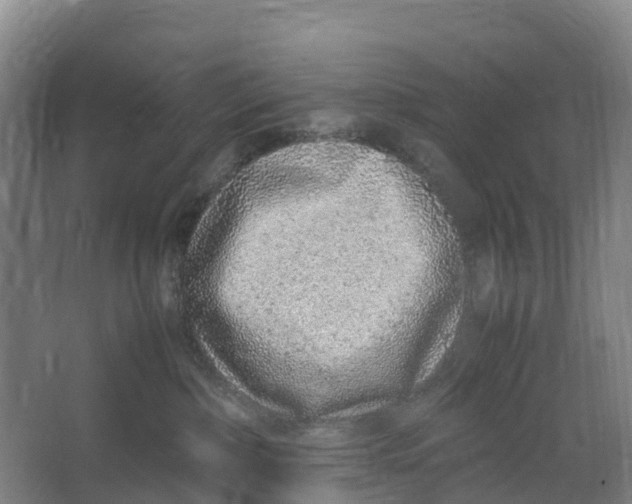 X0000067000236200604142307