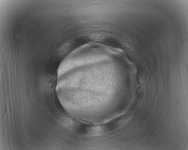 X0000067000237200604142307