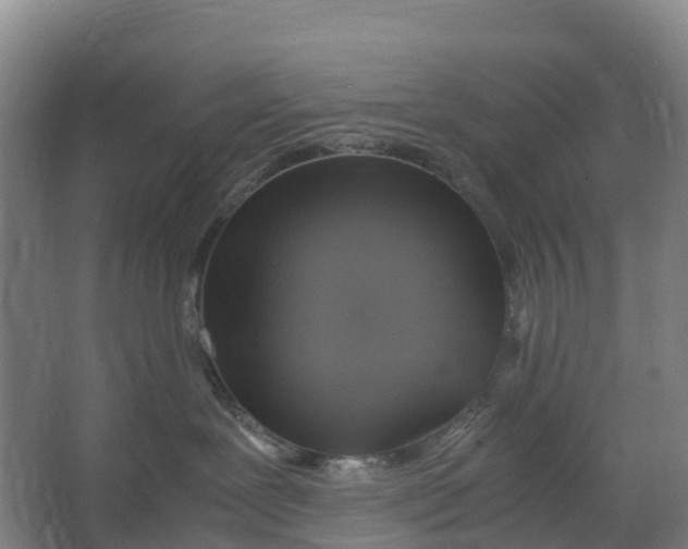 X0000067000239200604142307