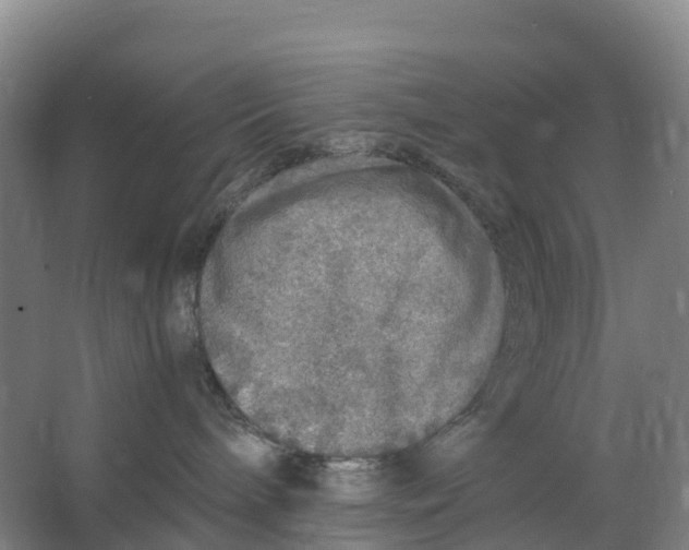 X0000067000240200604142307