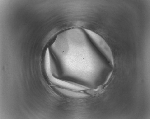 X0000067000242200604142306