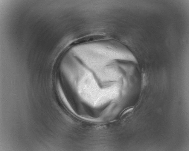 X0000067000243200604142306