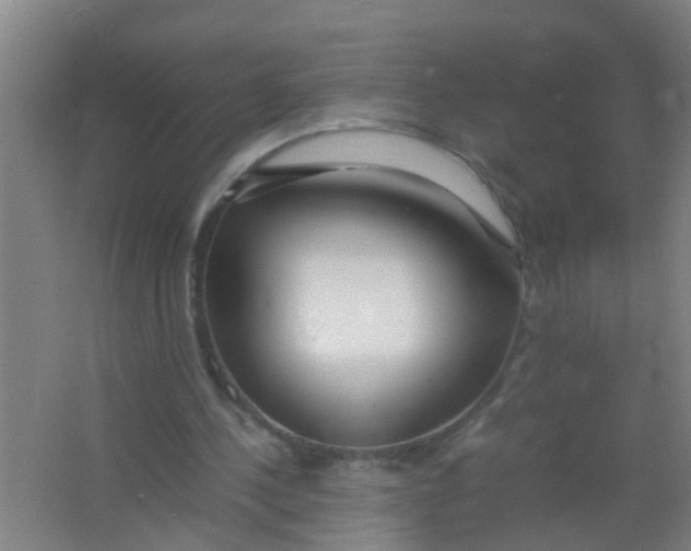 X0000067000244200604142306