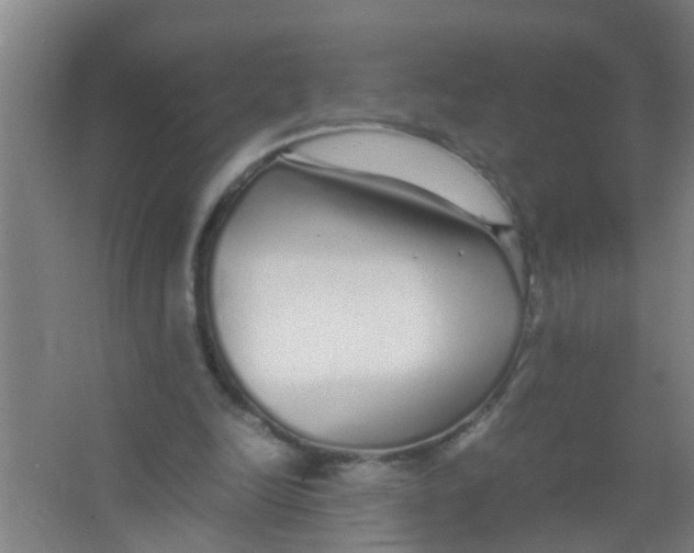 X0000067000246200604142306