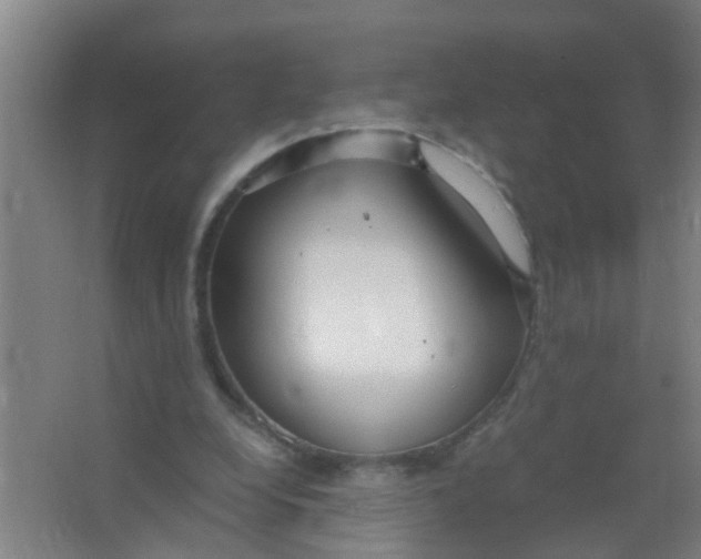 X0000067000248200604142306