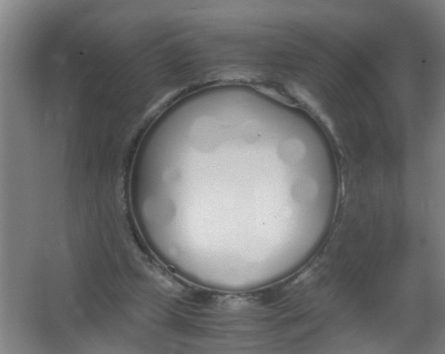 X0000067000249200604142306