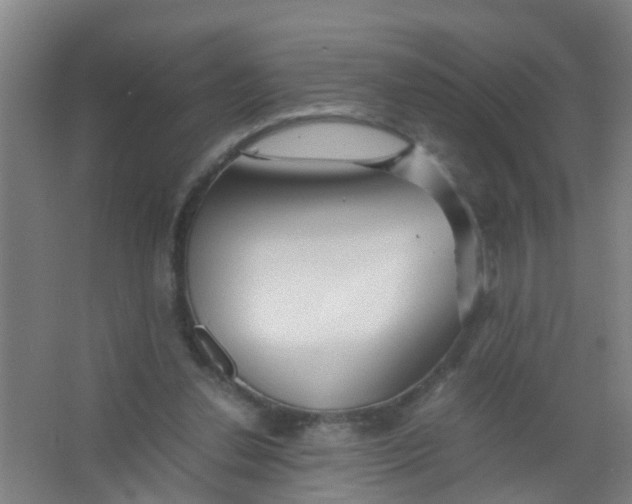 X0000067000252200604142306