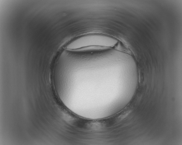 X0000067000253200604142306