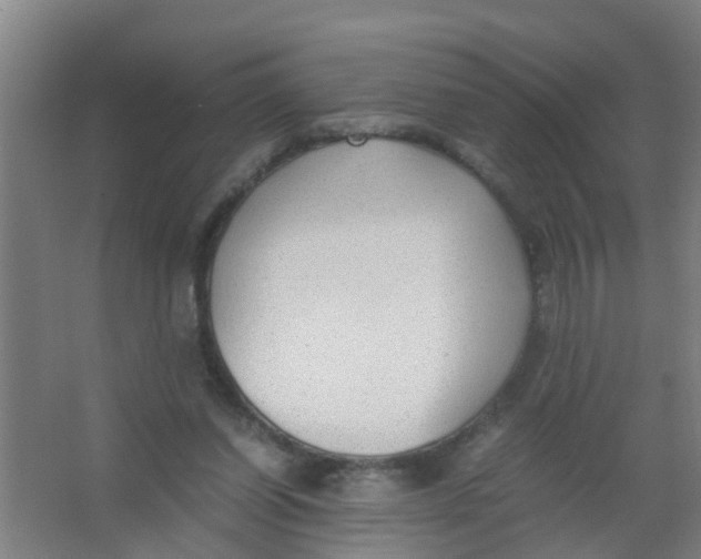 X0000067000254200604142306