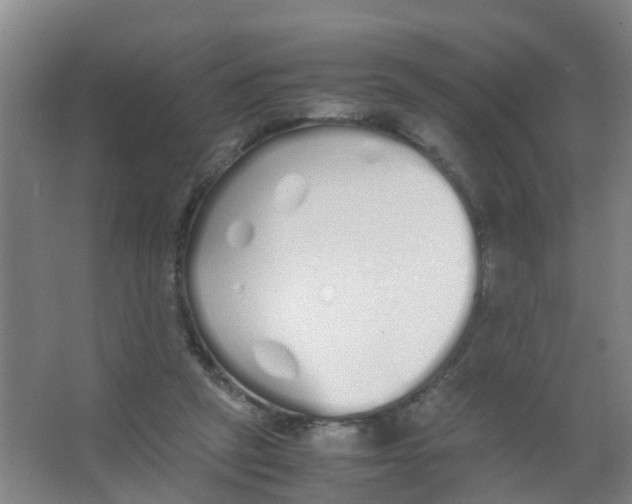 X0000067000257200604142306