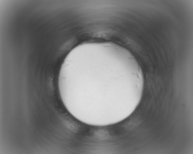 X0000067000258200604142306