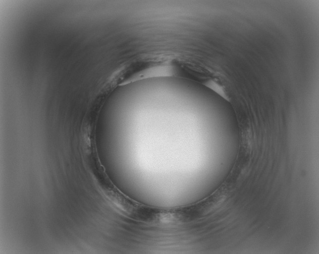 X0000067000264200604142306