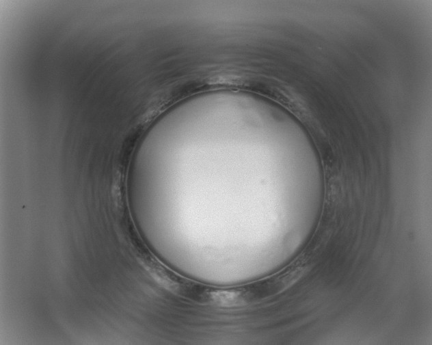 X0000067000265200604142306