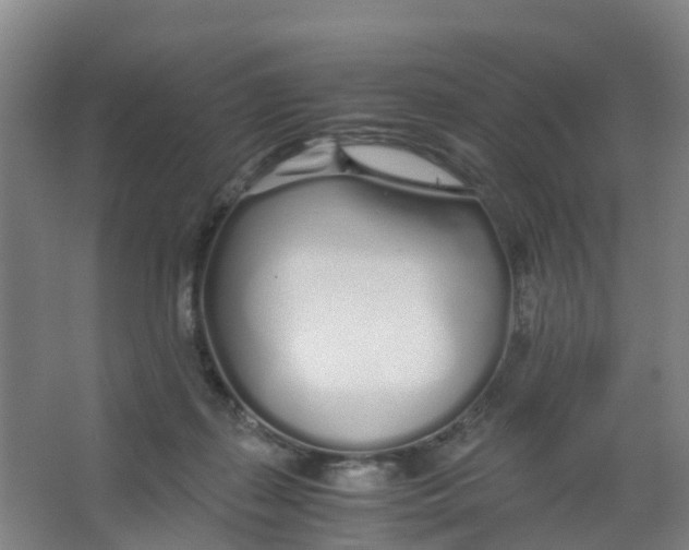 X0000067000267200604142306