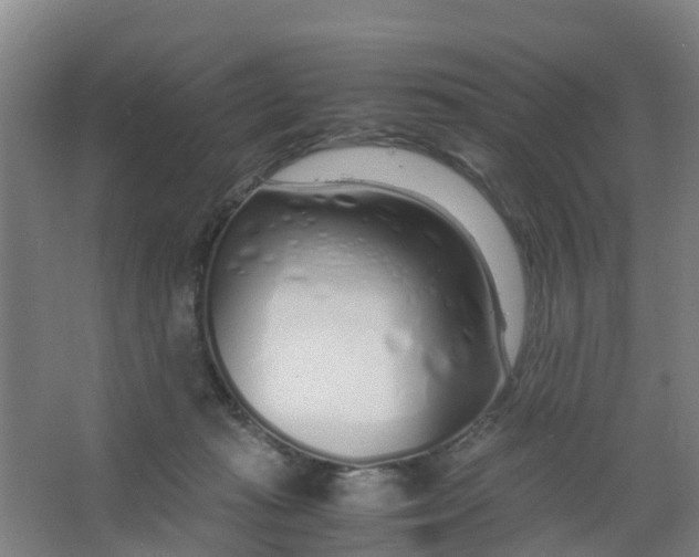 X0000067000269200604142306