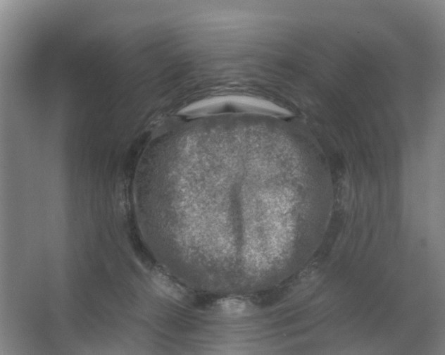 X0000067000272200604142306