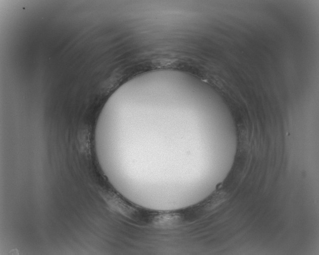 X0000067000274200604142307