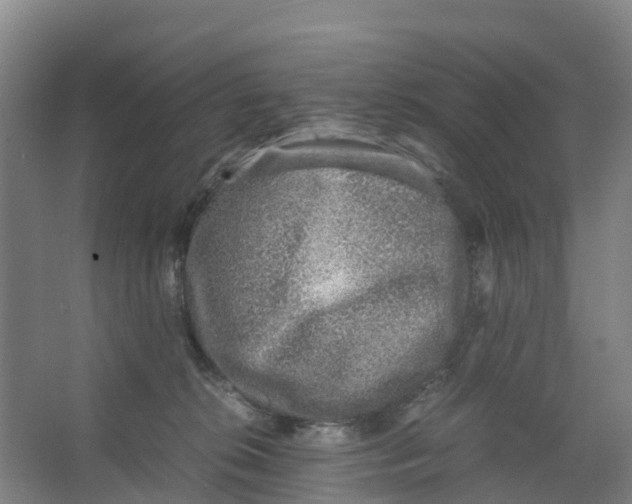 X0000067000276200604142307