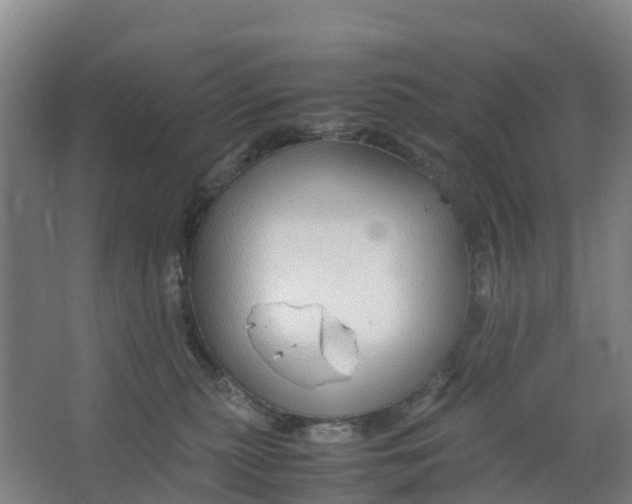 X0000067000279200604142307