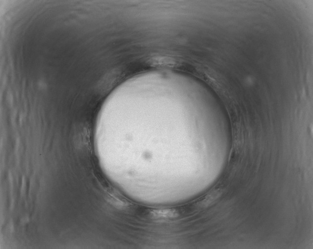 X0000067000281200604142307