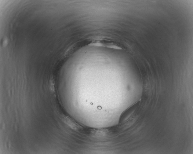 X0000067000282200604142307