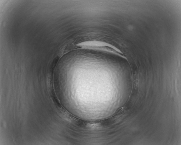 X0000067000283200604142307