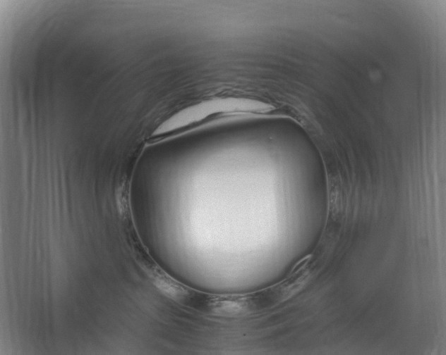 X0000067000285200604142307