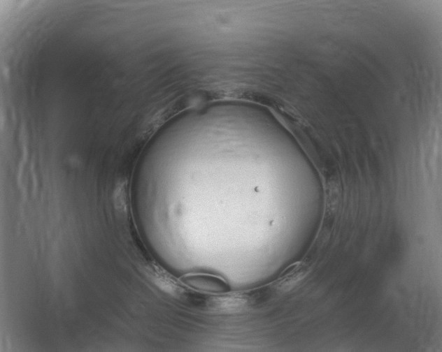 X0000067000286200604142307