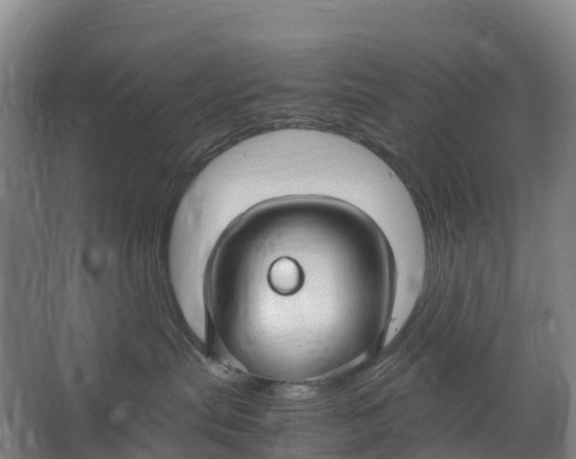 X0000067000287200604142307