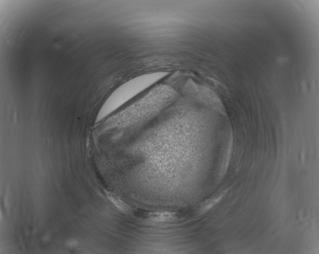 X0000067000288200604142307