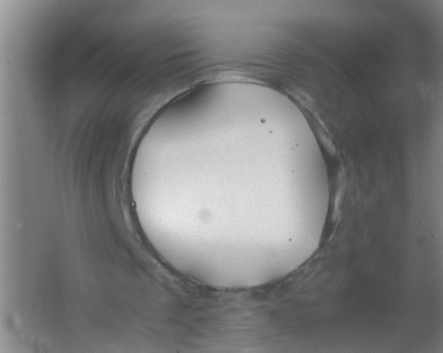 X0000067000289200604142306